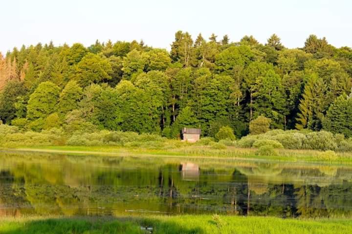 Ferienhaus Mauer Krombachtalsperre, Exclusive Nebenkosten Strom Driedorf Zewnętrze zdjęcie